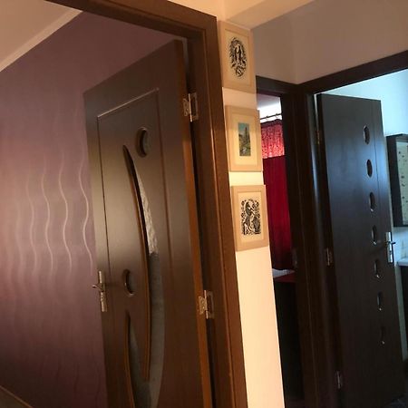 Apartament Cu 3 Camere La Poala Muntilor Fagaras Victoria  Exteriér fotografie