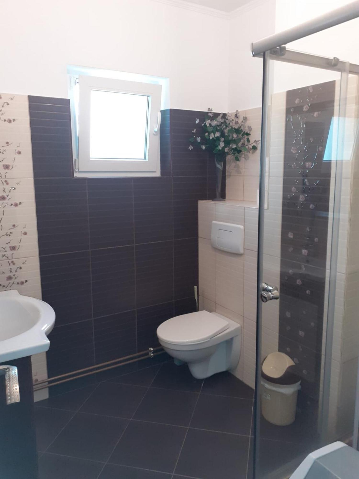 Apartament Cu 3 Camere La Poala Muntilor Fagaras Victoria  Exteriér fotografie