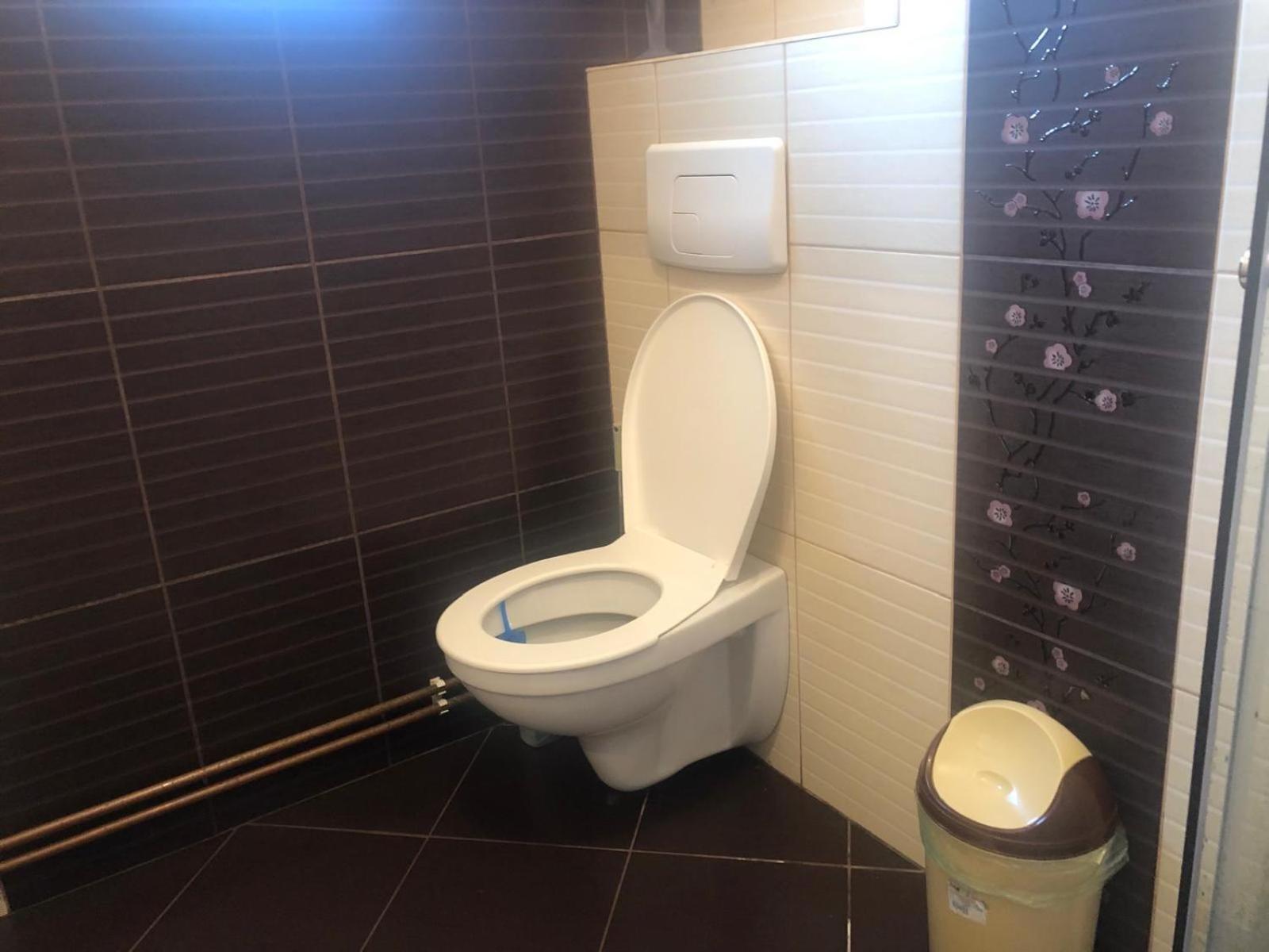Apartament Cu 3 Camere La Poala Muntilor Fagaras Victoria  Exteriér fotografie