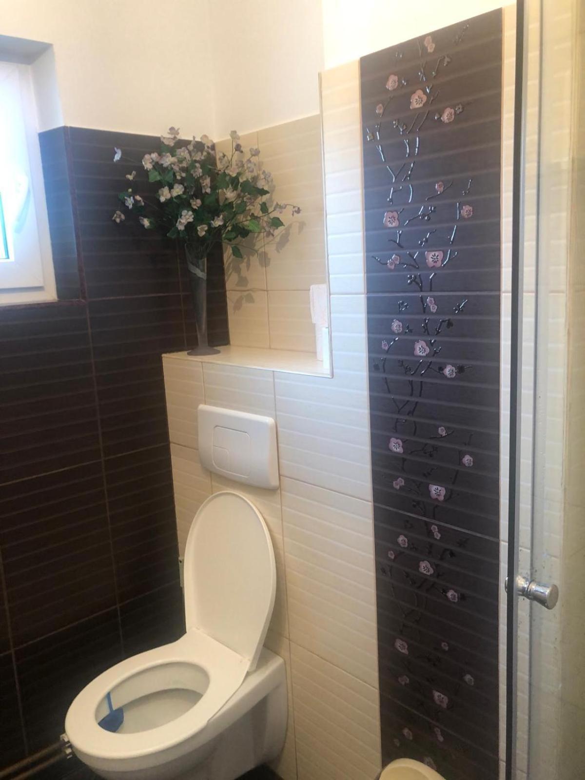 Apartament Cu 3 Camere La Poala Muntilor Fagaras Victoria  Exteriér fotografie