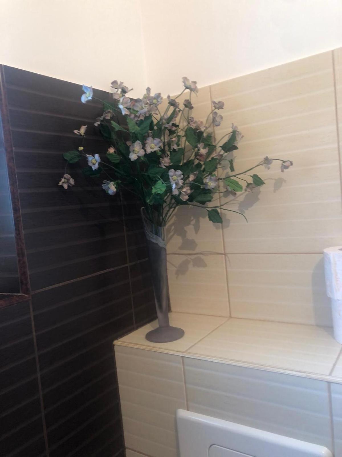 Apartament Cu 3 Camere La Poala Muntilor Fagaras Victoria  Exteriér fotografie