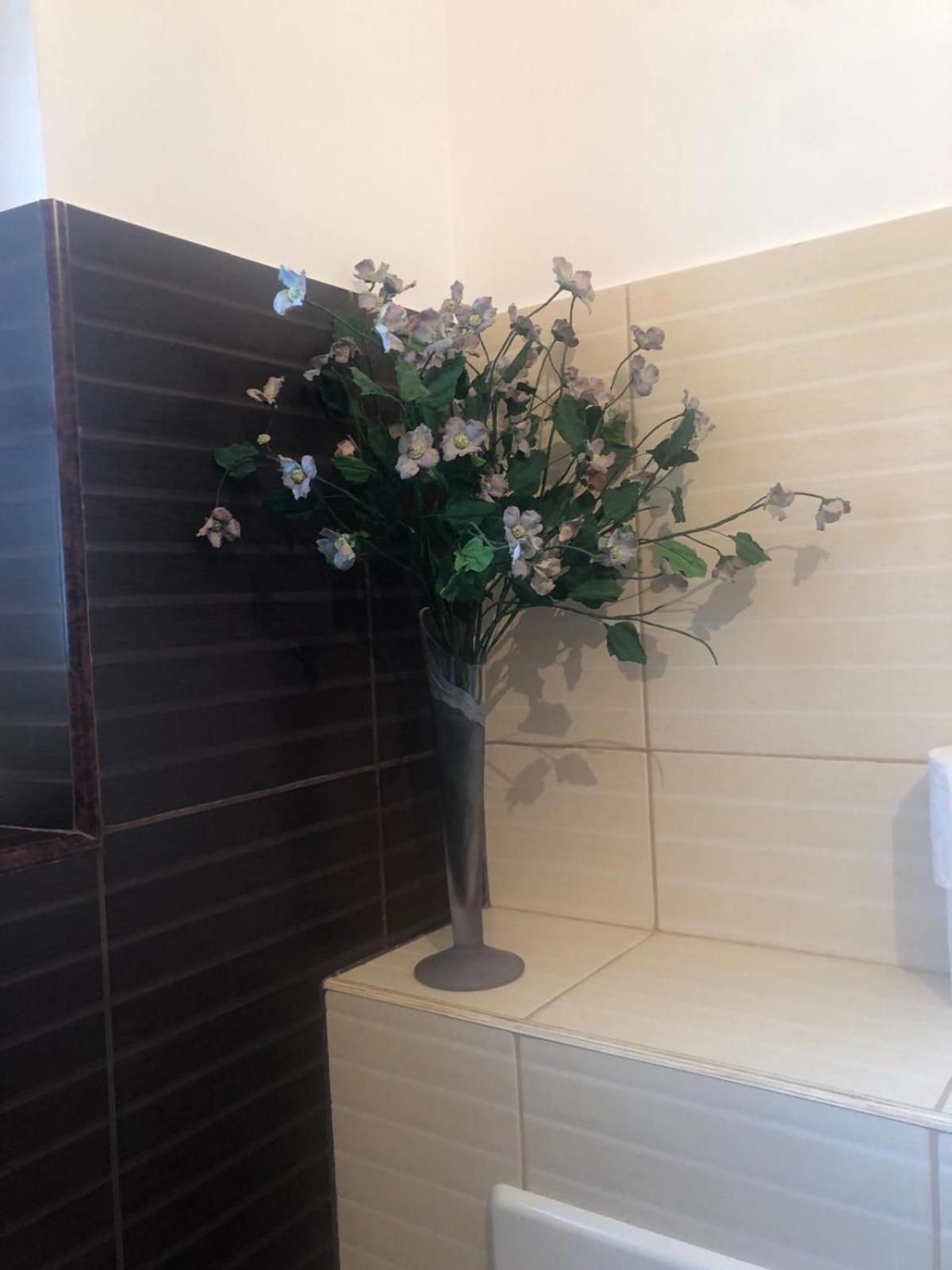 Apartament Cu 3 Camere La Poala Muntilor Fagaras Victoria  Exteriér fotografie