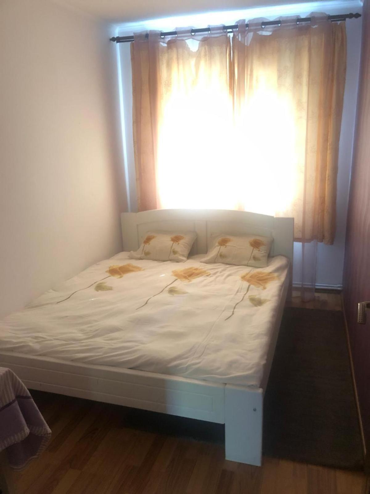 Apartament Cu 3 Camere La Poala Muntilor Fagaras Victoria  Exteriér fotografie